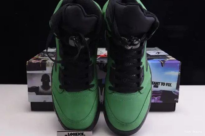 Kicktheory Ducks Jordan SE Air Oregon 5 CK6631-307 0608